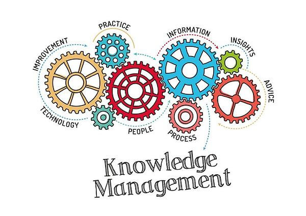 Optimize Efficiency: The Knowledge Management Process